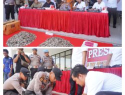 Seludup 41 Kg Sisik Trenggiling, MS (41) Terancam 5 Tahun Denda Rp 100 Jt