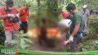 Polsek Perdagangan Evakuasi Pensiunan Karyawan BUMN Ditemukan Meninggal di Kebun Kelapa Sawit Simalungun