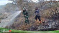 Pendinginan Karhutla di Bukit Kapur, Danramil 02/BK Kapten (Inf) Syuar Hendri Dim Turun Langsung