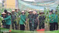 Gubernur Akmil Apresiasi Panen Raya Jagung di Panca Arga I