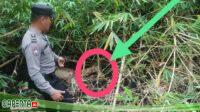 Setelah  11 Hari Hilang, Akhirnya Ditemukan Sudah Meninggal Dunia