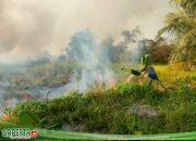 ±0,5 Ha Taman Wisata Danau Bunga Tujuh Terbakar, Penyebab Belum Diketahui