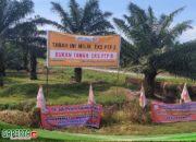 Asset Negara Kebun Penara PTPN II Beralih Ke Mafia Tanah ??