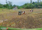 Jelang peringatan HUT RI ke 79,Satgas Yonkav 12/BC Bersama Masyarakat Perbatasan Siapkan Tempat Perlombaan.
