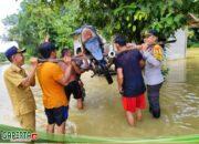 Sigap dan Peduli: Kapolsek, Camat, dan TNI Bantu Warga Menyuke Terjebak Banjir Dengan Alat Sederhana