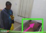 Sebuah Speed Boat di Timpa  Pohon Membuat Ronal Siregar 21 Th Meninggal Dunia