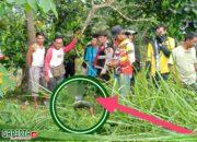 Temuan Mayat Seorang Pria di Tanah Kosong Kota Baru