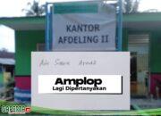 Penuh Pertanyaan Isi Amplop dari Kirani Kantor Afdeling ll PTPN lll Kanau