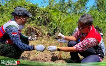 Kolaborasi Jaga Bumi, PHR Tanam Ribuan Pohon untuk Lestari Lingkungan dan Mitigasi Perubahan Iklim