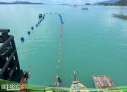Kebut Dedieselisasi, PLN Berhasil Operasi Saluran Kabel Laut 20 kV Penghubung Pulau Dabo Singkep, Selayar dan Lingga