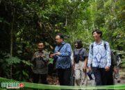 Ajak Perwakilan Pemerintah Jepang Kelilingi Patra Seroja Eco-Edupark, PT KPI Kilang Dumai Dukung Upaya Pencapaian Zero Carbon City 2050