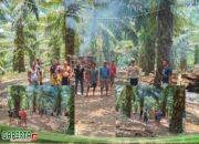 Kapolsek Sepauk Bongkar Di Duga Arena Judi Sabung Ayam Dan Berikan Himbauan Kepada Masyarakat.