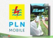 Digitalisasi Layanan, PLN Mobile jadi Tonggak Penting Transformasi Layanan PLN di Riau dan Kepulauan Riau