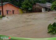 Akibat Hujan Tiada Henti, Beberapa Desa di Kabupaten Sanggau Alami Banjir.
