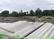 Lapor…., Ada Oknum PT PLN Lakukan Jual-beli Tiang Lampu dan Transaksi Diluar Prosedur di ULP Nanga Pinoh dan Sintang