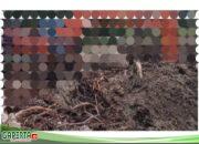 Oknum TNI Andre Bantah Keterlibatan dalam Tambang Emas Ilegal di Ketapang