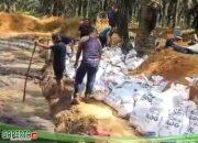 Pengolahan Limbah Miko PT. MISI Diduga Tanpa Kantongi Ijin Lengkap.