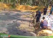 PT. MISI Tak Patuhi Peraturan Dinas DLH Muaro Jambi, Kegiatan Pengutipan Miko tampa kantongi LA Land Aplikasi dan IPLC Dari Dinas DLD Muaro Jambi.