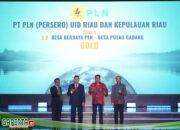ISDA Award 2024: PLN UIDRKR Cetak Prestasi, Raih GOLD Kategori Economy Pillar