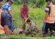 Miris.., Seorang Pekerja Buruh Lepas (BL) di PT. Berkat Nabati Sejahtera (BNS) Kendawangan Tewas di Terkam Buaya.