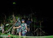 Satgas Pamtas Yonkav 12/BC Evakuasi Pohon Tumbang Bersama Masyarakat