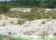 Pelaku PETI di Wilayah Hukum Polres Sambas Yang Diamankan Salah Satunya ASN di Tangguhkan Menjadi Pertanyaan Publik