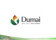 Resmi Diluncurkan, Inilah Makna Filosofis Logo “Dumai Kota Idaman” dan Maskot “Adum”