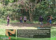 Informasi Soal Adanya Gelanggang Judi Sambung Ayam di Melawi  Itu Hoax Tegas Kapolres