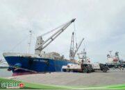 Perkuat Ketahanan Pangan Nasional, Pelindo Multi Terminal Group Pastikan Kelancaran Bongkar Komoditas Beras