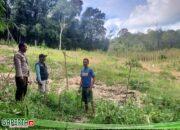 Koordinasi dan Pengecekan Lahan untuk Tanam Jagung Serentak di Dusun Saboro