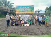 Polsek Mandor Gelar Penanaman Bibit Jagung Serentak di Wilayah Kecamatan Mandor