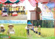 Langkah Konkrit Menuju Swasembada Pangan (PANEN RAYA)