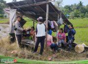 Berikan Motivasi Mendukung Ketahanan Pangan Nasional, Bhabinkamtibmas Sambangi Petani