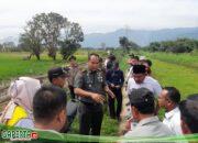 Kodim 0417/Kerinci  Siapkan Penyemaian Padi untuk Mendukung Ketahanan Pangan