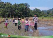 Cegah Karhutla, Bhabinkamtibmas Polsek Menjalin Sosialisasikan Larangan Pembakaran Hutan dan Lahan