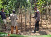 Bintara Penggerak Polsek Ngabang cek Pekarangan Pangan Bergizi Mandiri