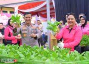 Kapolda Jambi Laksanakan Kegiatan Penaburan  Tanaman, Panen Tanaman Secara Serentak