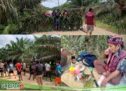 Hasil Adat Tidak di Hargai, Masyarakat Melakukan Pemagaran Jalan CPO PT. GKM