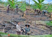Sukseskan Program Ketahanan Pangan, Bhabinkamtibmas Bersama Warga Menanam Tanaman Jagung