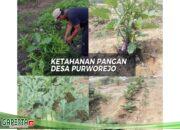 Program Ketahanan Pangan Kepala Desa  Purwo Rejo Ajak Warganya Bentuk Kampung Sayur Mayur