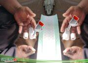 PT. SIM Diduga Langgar Undang-Undang Ketenagakerjaan