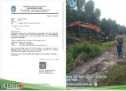 Skandal Mangrove Kubu: Oknum Kades Dituding Jual 400 Hektare ke Warga untuk Sawit