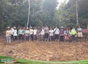 Polsek Batang Tarang Gencarkan Ketahanan Pangan Lewat Penanaman Jagung di Lahan Demplot II