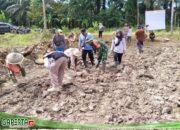 Lewat Penanaman Jagung, Babinsa dan Warga Mekar Sari Perkuat Ketahanan Pangan.