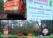 Pembabatan Hutan Mangrove di Desa Sebubus, Kecamatan Paloh, Kabupaten Sambas: Diduga GAKKUM KLHK Kalimantan Tutup Mata