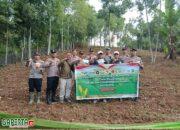 Sukseskan Program Ketahanan Pangan, Pemerintah Desa Koto Tengah Lakukan Kegiatan Penanaman Jagung