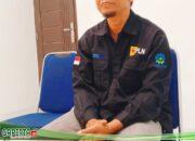 PLN Meningkatkan Pelayanan dengan Teknologi dan Aplikasi Mobile