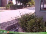 “DARURAT NARKOBA AIR PAHING: Warga Resah, Aparat Diduga Mandul?”