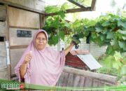 Bukan Hanya bagi Petani, Kampung Reforma Agraria Desa Duyu Juga Bantu Ekonomi Warga Sekitar