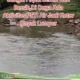 Warga Tidak Bisa Mandi Air Sungai Karna Kotor,Di Duga Ada Aktivitas PETI DI Kabupaten Sintang Kalbar